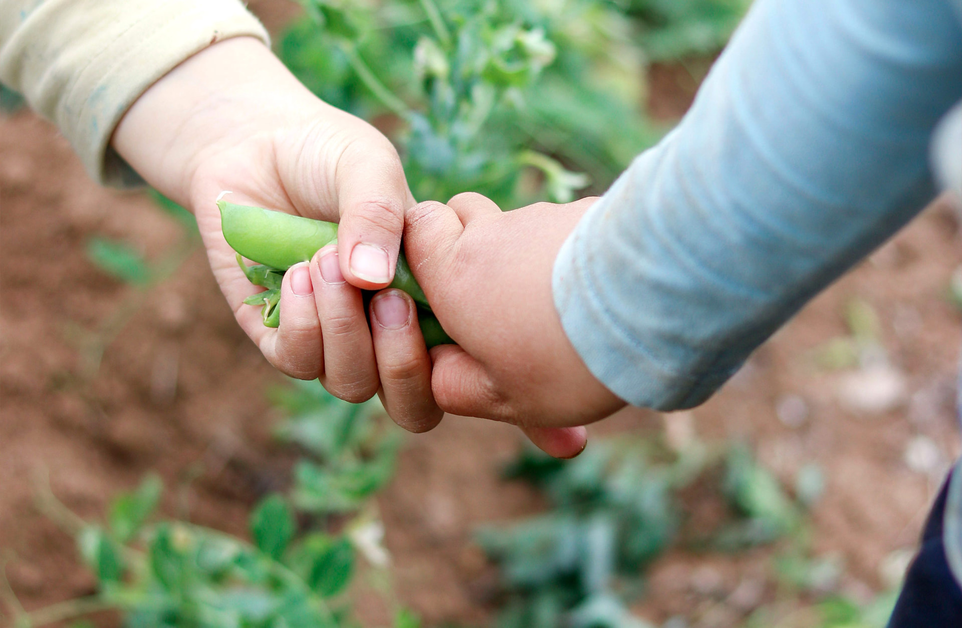 Two children holding hands outdoors