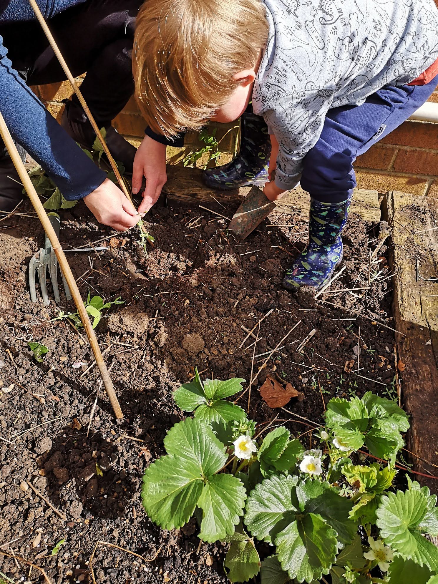 A child helping to plant seedlings in a nursery garden bed