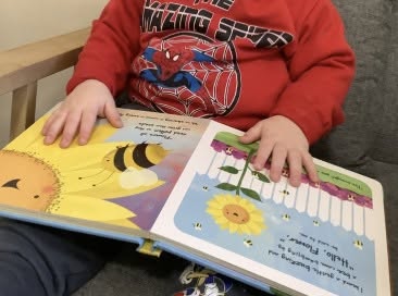 A child looking through a picture book about bees and flowers